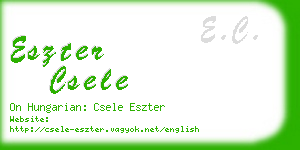 eszter csele business card